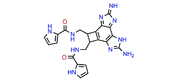 Benzosceptrin A